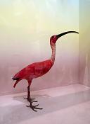 natural history museum londen 5-2018 5228